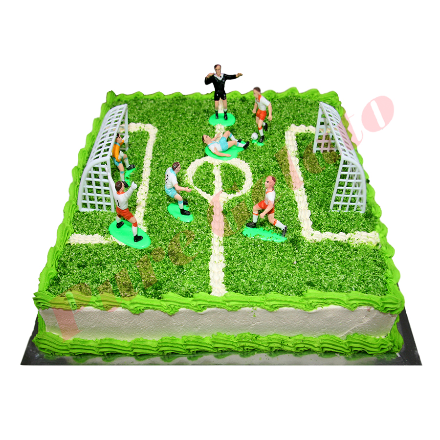 Bee's Cakes - NRL football field cake I made for my... | Facebook